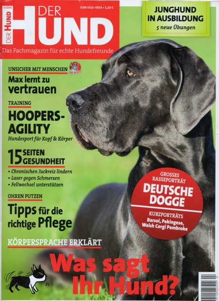 Der Hund Titelblatt.jpg